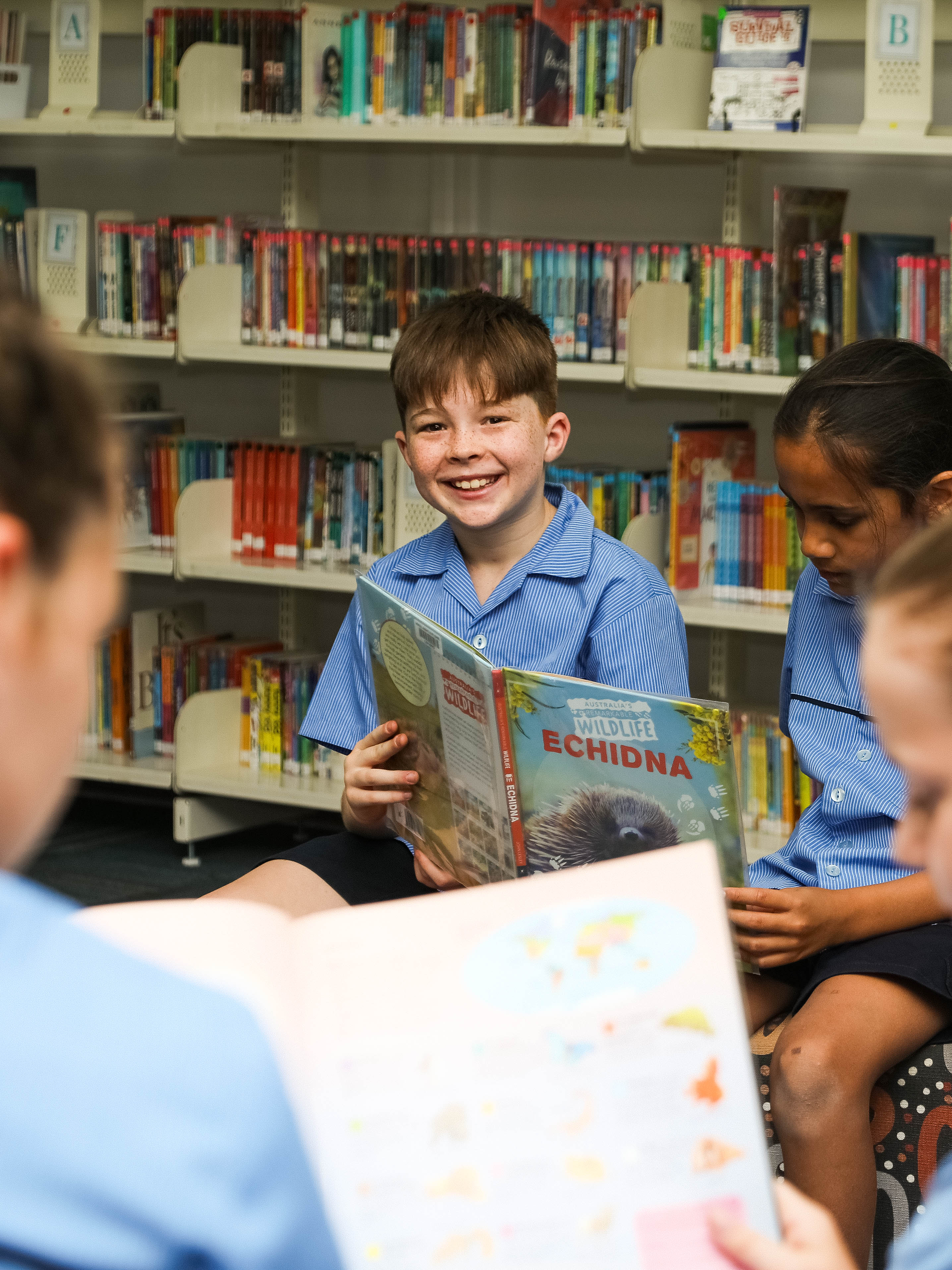 Wondall Heights-0643.jpg